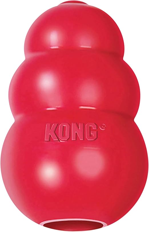 Best Christmas Presents for Dogs UK 2026