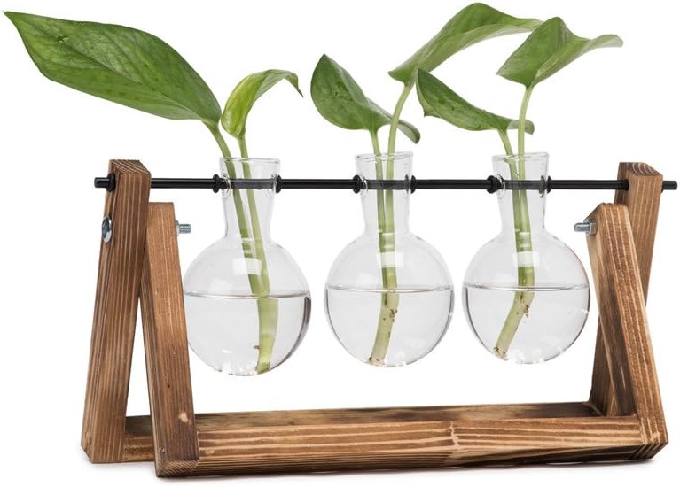 Best Gifts for Houseplant Lovers UK 2026