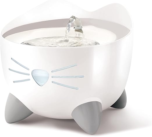 Best Cat Water Fountain UK 2026