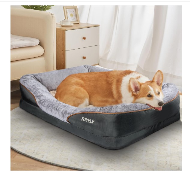 Top-Rated Dog Beds for Large Dogs in the UK