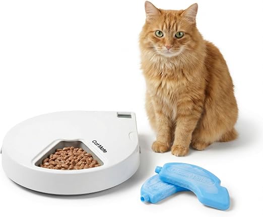 Best Automatic Cat Feeder with Timer UK
