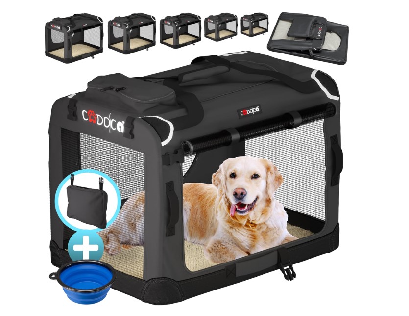 Best Dog Travel Crates for Cars UK