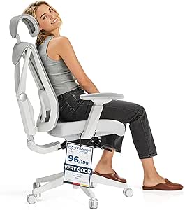 Desktronic Adjustable Ergonomic Office Desk Chair with lumbar support - Back-friendly/Back Pain-free - Computer Chair Height-Adjustable & Back-Protecting -Wide cushion SitPro (Gray) - Featured