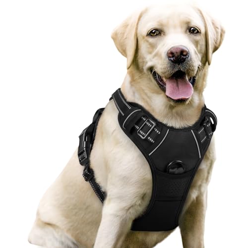 rabbitgoo Dog Harness Large Dog No Pull Pet Harness with 2 Leash Clips, Adjustable Soft Padded Pet Vest Harness, Reflective No-Choke with Easy Control Handle for Training or Walking, Black, L - Featured
