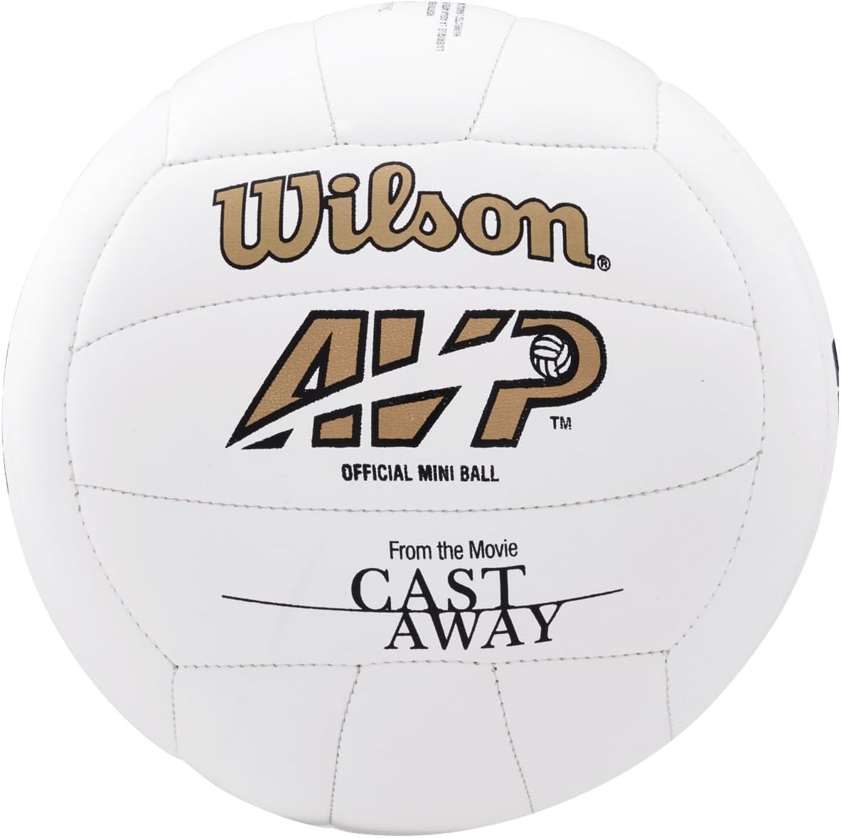 Wilson Mr. Wilson Cast Away Mini Volleyball
