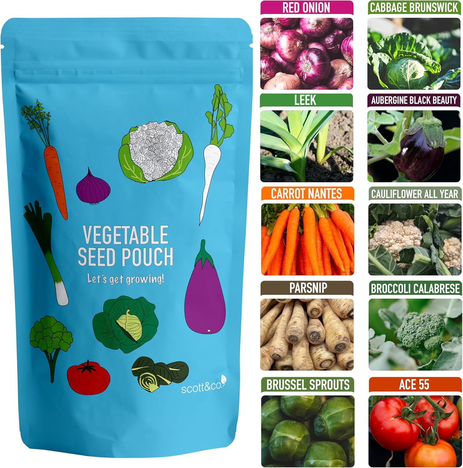 Scott&Co. Vegetable Seeds Variety Pack
