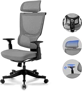 FLEXISPOT BS8 Ergonomic Office Chair, Mesh Desk Chair with 9 Level Adjustable Backrest, Lift Armrest, Lumbar Support, Task Back Support Computer Chair for Office Home,Grey - Featured