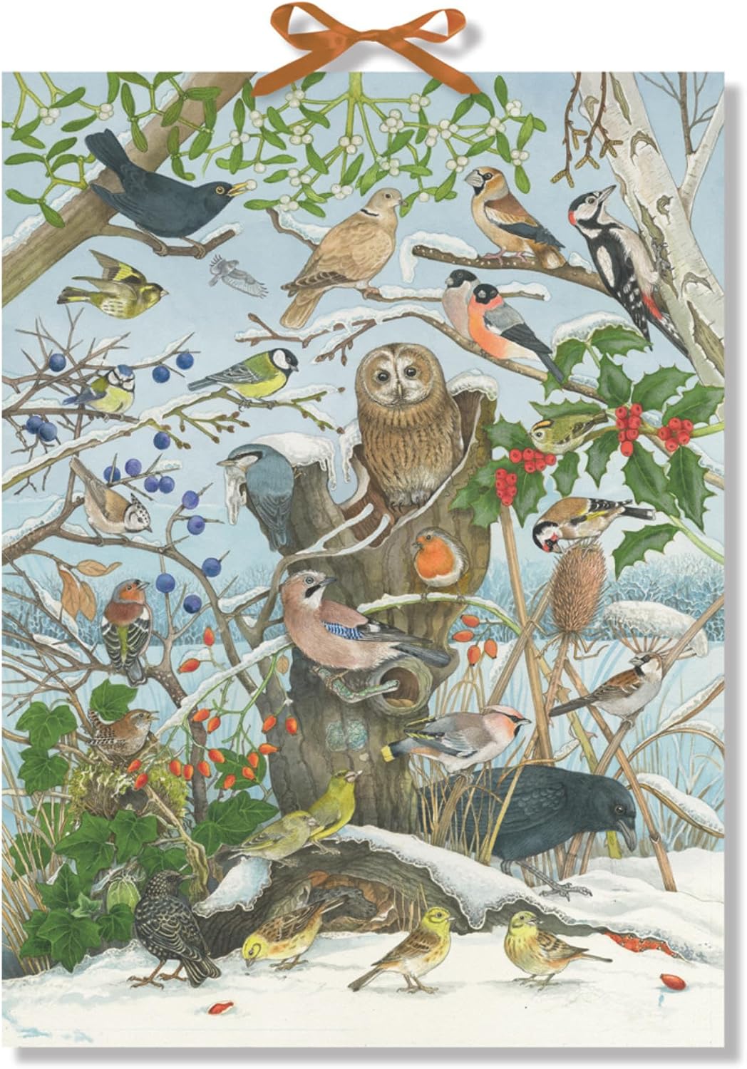 Coppenrath Birds in Winter Birdsongs Reusable Musical Advent Calendar