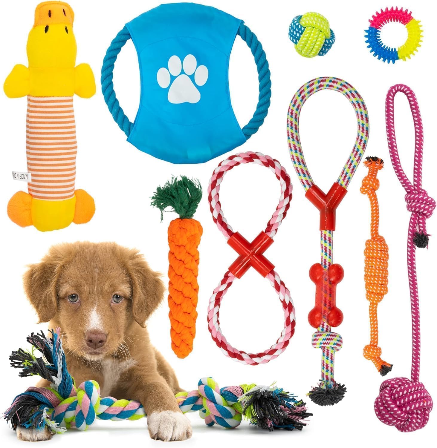 Fur and Bone 10-Pack Puppy Chew Toys